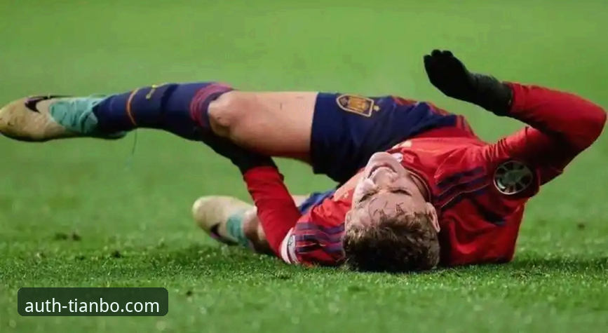 阿根廷新星陨落：帕尼切利重伤无缘世界杯事件深度评测